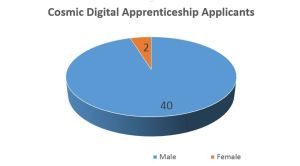 Pie chart showing lack of female applicants for digital apprenticeships