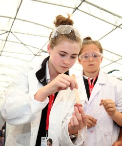 During the Big Bang South West event at Exeter University on the 25th June 2015 - Photo mandatory by-line: Gary Day/Pinnacle - Tel: +44(0)1363 881025 - VAT Reg: 183700120 - Mobile:0797 1270 681 - 25/06/15 - Exeter University, Exeter